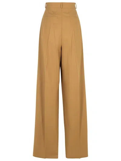 Sportmax 'kiens12' Brown Virgin Wool Pants In Brown