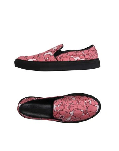 Shop Giamba Sneakers In Pink