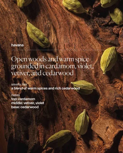 Evolvetogether Havana Nutrient Rich Body Cleanser