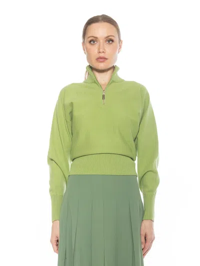 Alexia Admor Niko Turtleneck Sweater In Multi