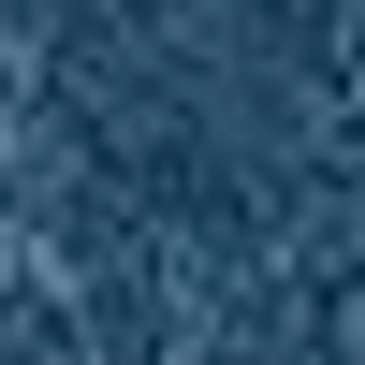 Bebe High Waist Clustered Rhinestone Wide Leg Jeans In Palm Spring Blue Wash