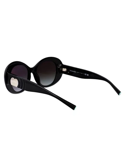 Tiffany & Co Round Sunglasses 0 Tf4228 80013 C In Black