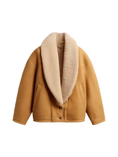 Golden Goose Sheepskin Jacket With Wide Shearling Shawl Collar(brown) In Brown