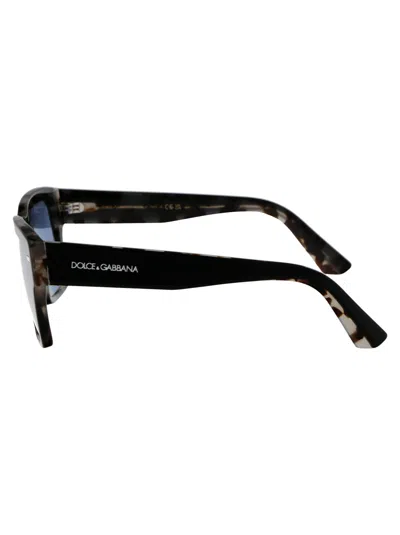 Dolce & Gabbana Black On Grey Havana Acetate Sunglasses