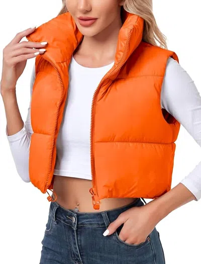 The Lyrical Spirit Crop Puffer Vest In Orange In Orange