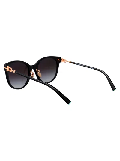 Tiffany & Co Cat Eye Sunglasses 0 Tf4223 D 80013 C