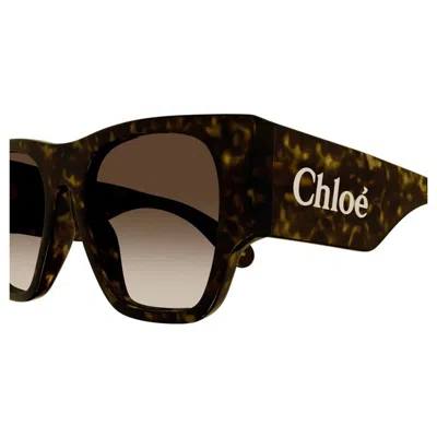 Chloé Ch0233 S Linea