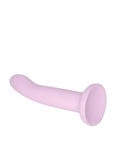 Dsquared2 Sex Toy Buddy Dsqaured2 X My Secret