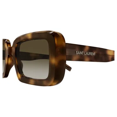 Saint Laurent Sl 534 Sunrise 012