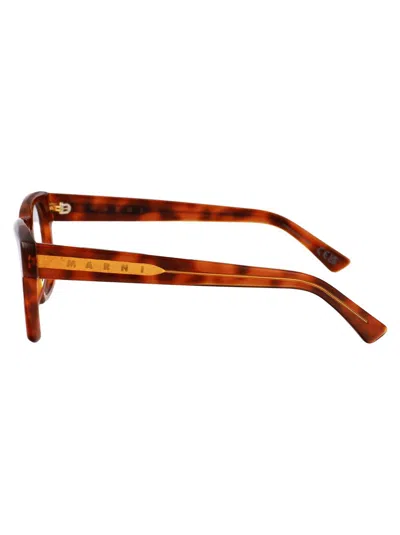 Marni Optical In Blonde Havana