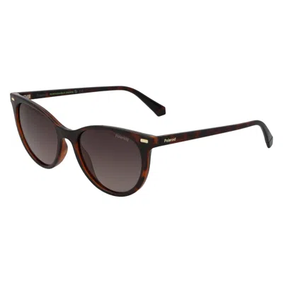 Polaroid Brown Resin Sunglasses In Brown