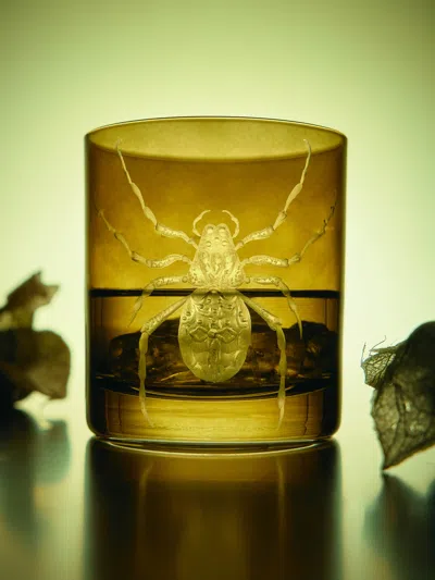 Artel Cabinet Of Curiosities Hand-engraved Crystal Double Old Fashioned Tumbler  Abask Luxury Gift