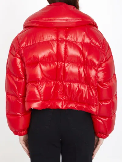 Patou Jp Short Puffer Jacket