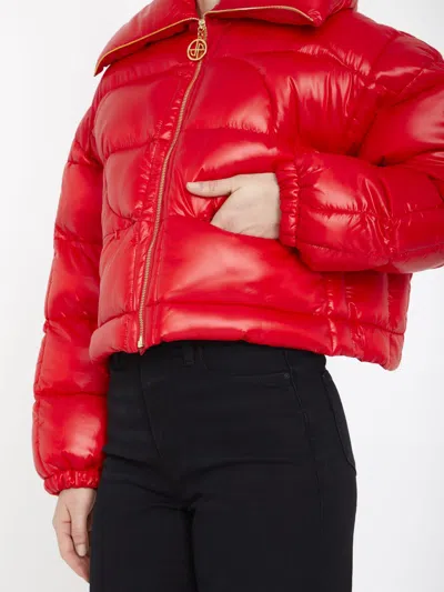 Patou Jp Short Puffer Jacket