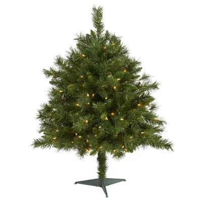 Homplanti 3' Wyoming Pine Christmas Tree W/150 Lights & 270 Tips