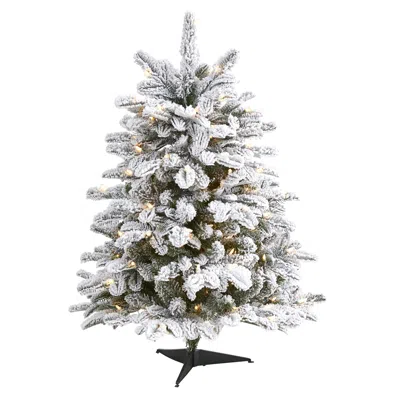 Homplanti 3' Flkd North Carolina Fir Xmas Tree W/150 Lights & 545 Tips