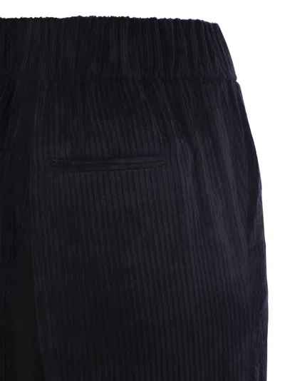 Peserico Carrot Trousers With Velvet Lace In Navy