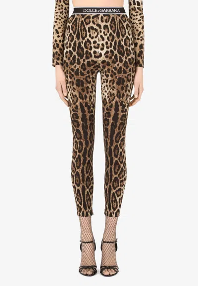 Dolce & Gabbana Leggings In Charmeuse With Leopard Print In Brown
