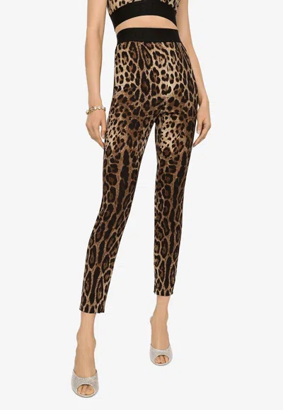 Dolce & Gabbana Leopard-print Charmeuse Leggings In Brown