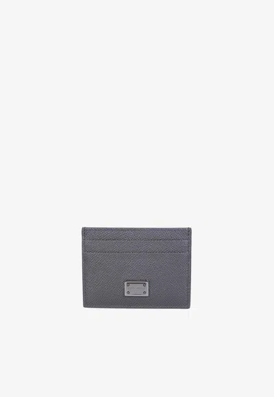Dolce & Gabbana Logo Plate Leather Cardholder In Gray