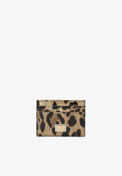 Dolce & Gabbana Logo Plate Leopard Print Cardholder In Brown