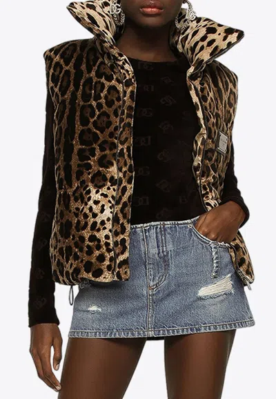 Dolce & Gabbana Leopard Print Vest With Logo Plate In Brown
