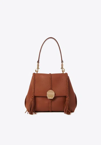 Chloé Small Penelope Soft Shoulder Bag In Brown