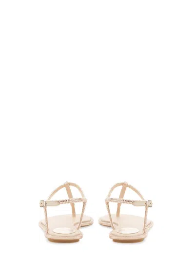 Shop René Caovilla Sandal "diana" In Powder