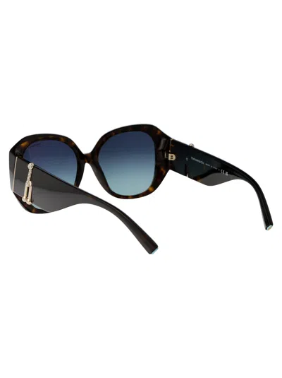 Tiffany & Co Tiffany Havana Acetate Sunglasses