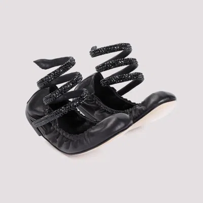 René Caovilla Rene Caovilla Cleo 10 Crystal Ballerinas