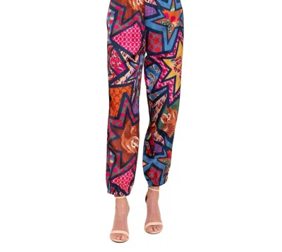 Alden Adair Elton Pants In Star Power In Multi