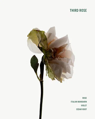 Corpus Third Rose Spray Deodorant