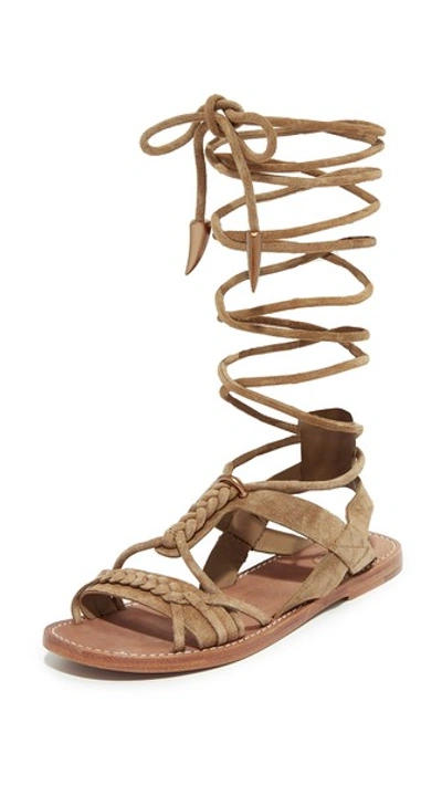 Ash Peace Tall Gladiator Flat Sandals In Wilde