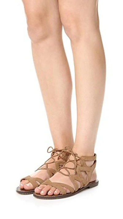 Shop Sam Edelman Gemma Gladiator Sandals In Golden Caramel