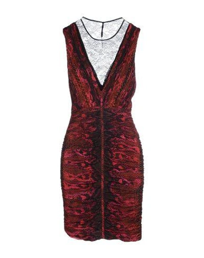 Shop Roberto Cavalli Short Dress In Red