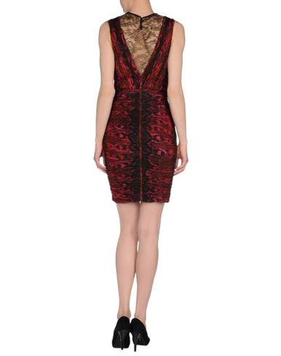 Shop Roberto Cavalli Short Dress In Red