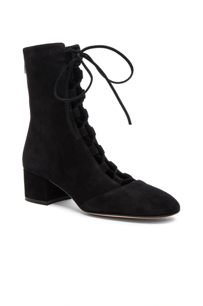 Shop Gianvito Rossi Suede Lace Up Boots In Black