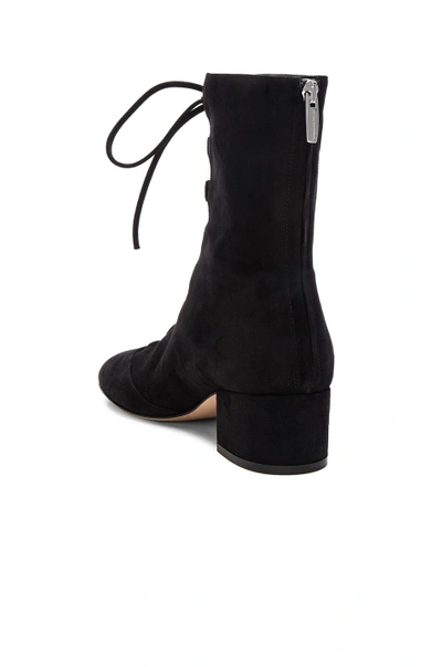 Shop Gianvito Rossi Suede Lace Up Boots In Black