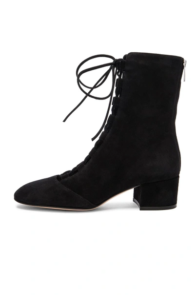 Shop Gianvito Rossi Suede Lace Up Boots In Black