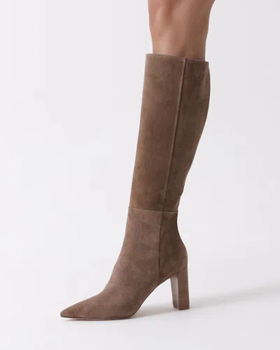 Alexandre Birman Boots