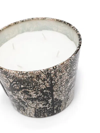Baobab Collection Sacred Trees Morondo Scented Candle