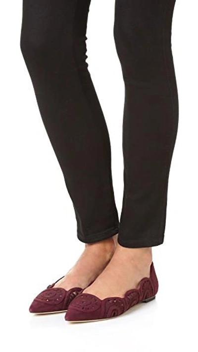 Tory burch leyla best sale flat