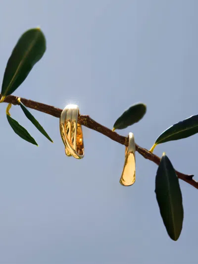 Brochu Walker Icons Yellow Gold Everyday Dome Ring In Yellow Gold