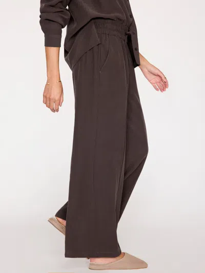 Brochu Walker Aaron Wide-leg Pintuck Pants In Licorice