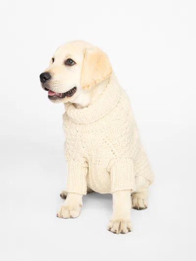 Brochu Walker The Cable Dog Sweater In Natural