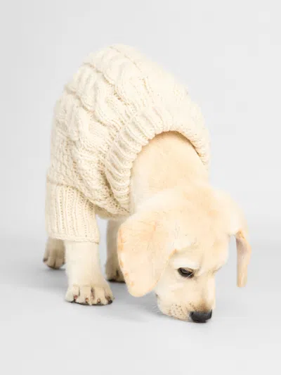 Brochu Walker The Cable Dog Sweater In Natural