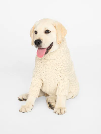 Brochu Walker The Cable Dog Sweater In Natural