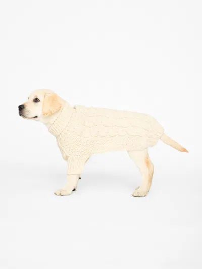 Brochu Walker The Cable Dog Sweater In Natural