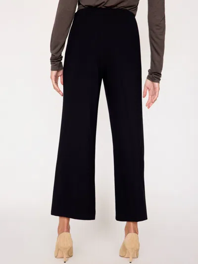 Brochu Walker The Carter Pant In Black Onyx