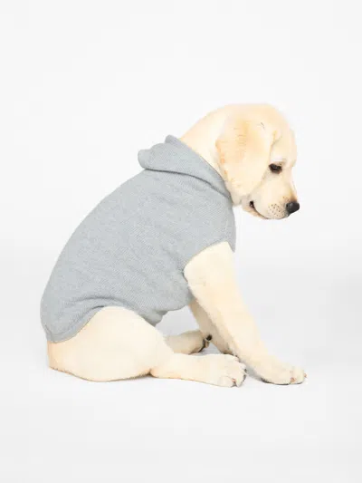 Brochu Walker The Cashmere Dog Hoodie In Brume Grey
